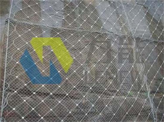 14274405776911299.jpg 14274405776911299.jpg