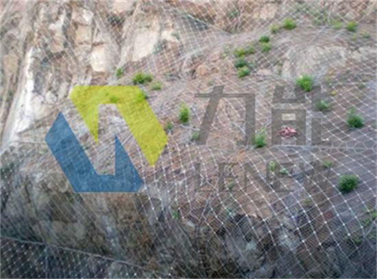 14274402489058302.jpg 14274402489058302.jpg